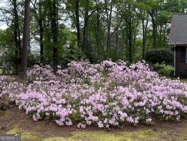 a view of a yard with umbrella