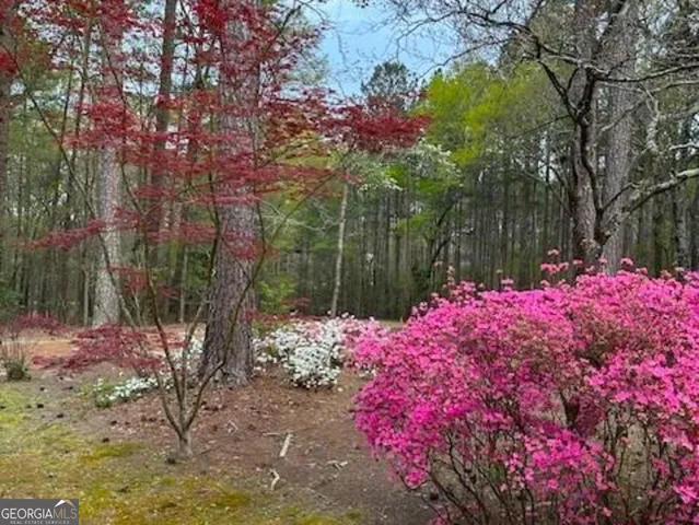 a bunch of flowers are in a garden