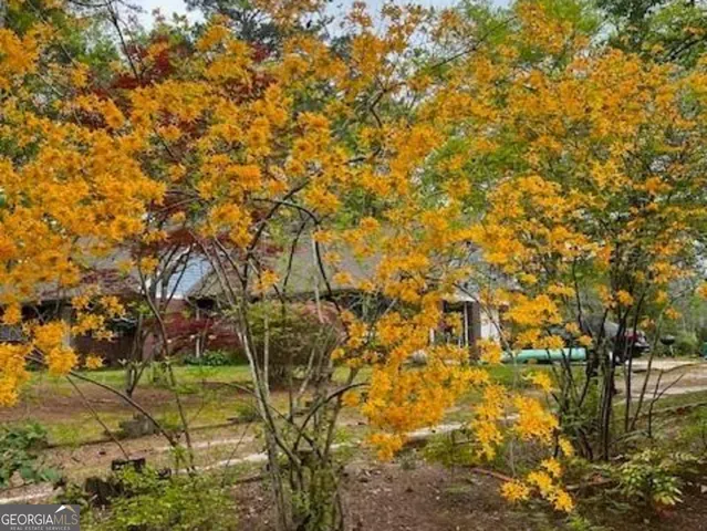 a view of flower garden with a yard