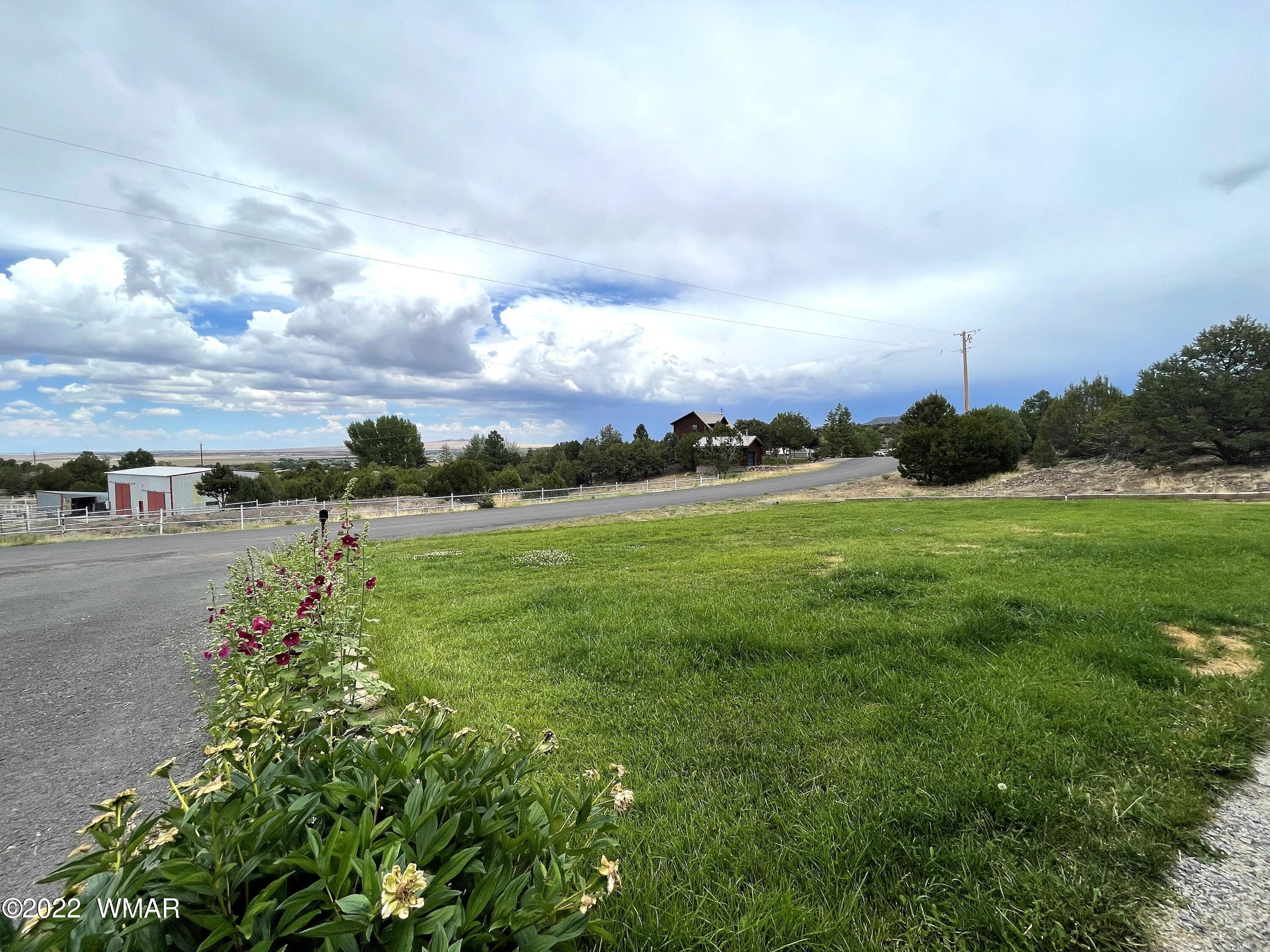1713 Snowline Road Eagar, AZ 85925 - Photo 51 of 53 a view of a garden with houses