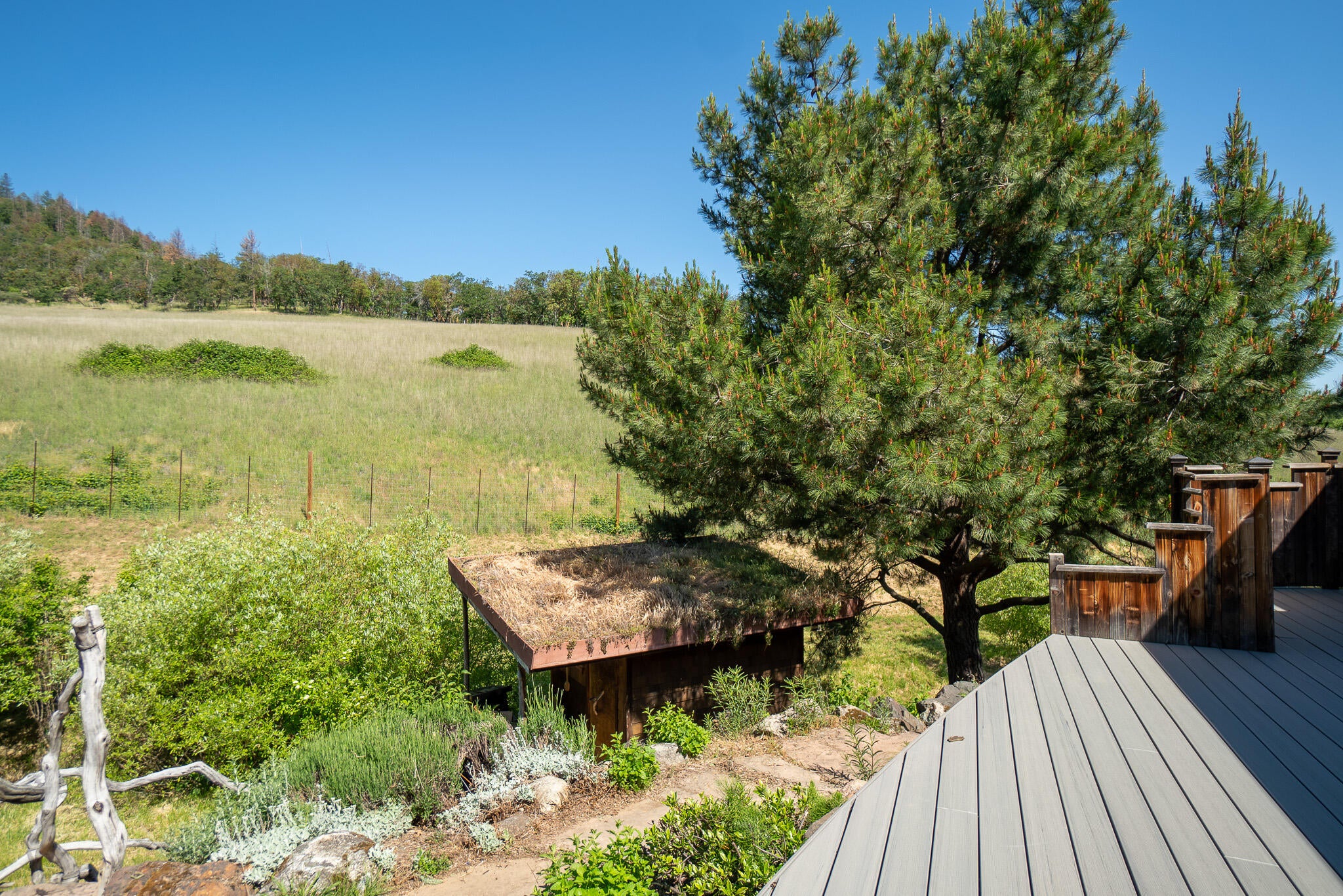 1785 Zemke Road Talent, OR 97540 - Photo 56 of 61 DSC00549-HDR