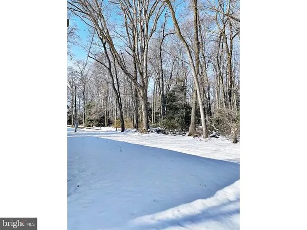 a view of a yard with trees