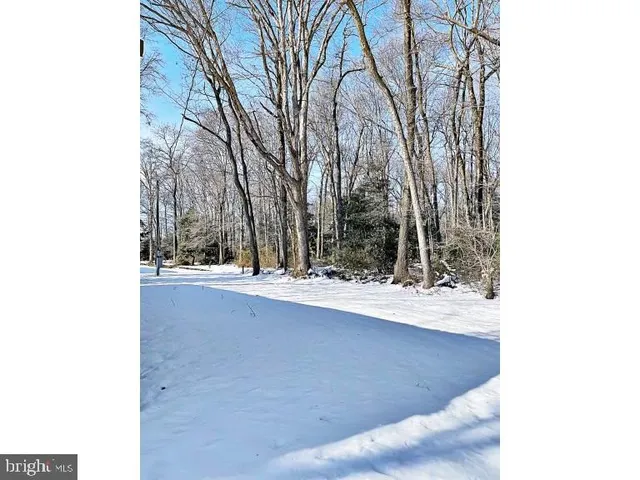 a view of a yard with trees