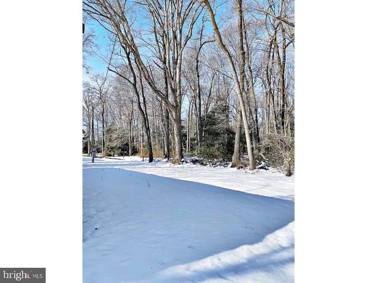 7193 Whiteleysburg Road Harrington, DE 19952 - Photo 12 of 13 a view of a yard with trees