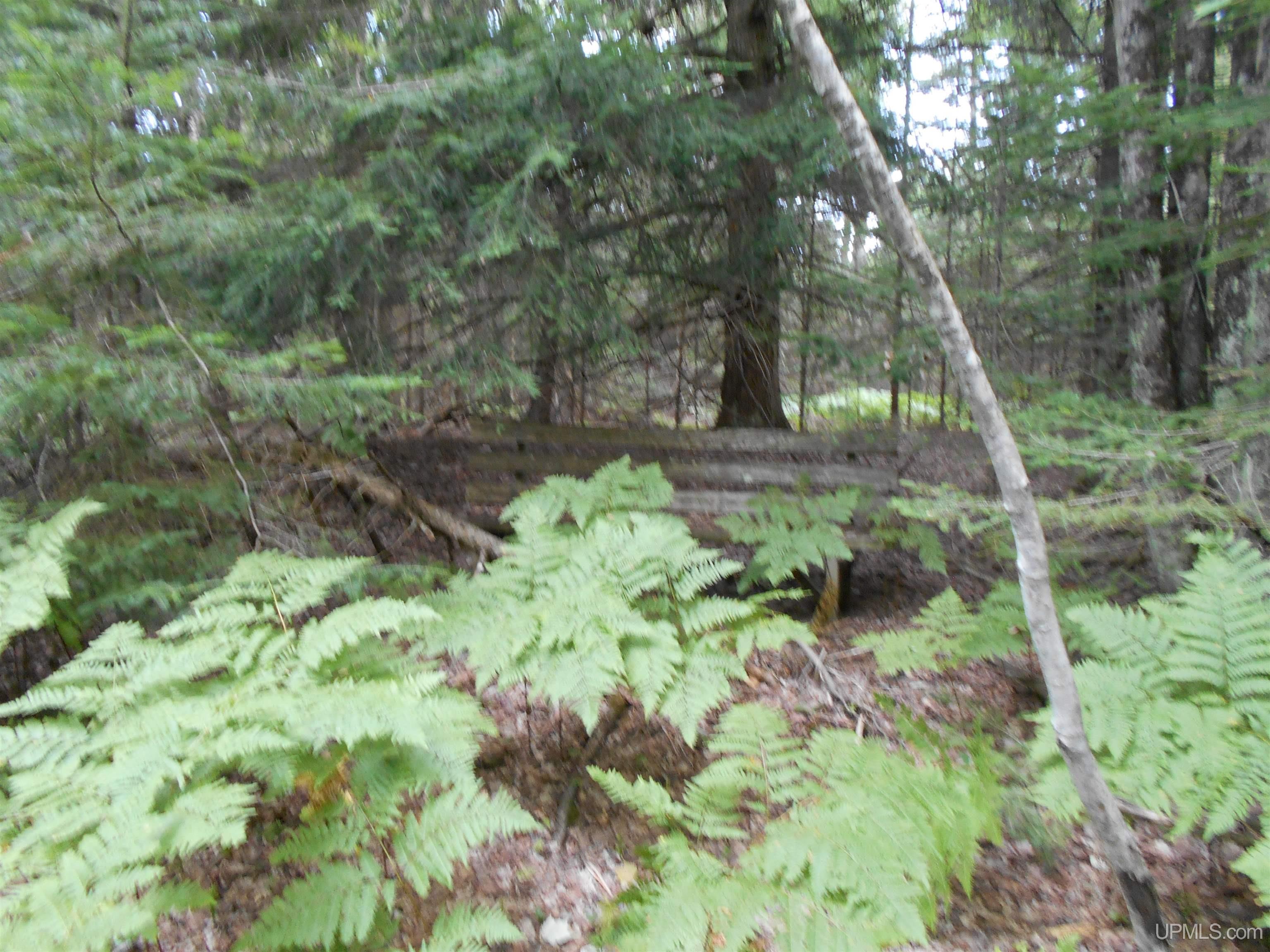40-acres Garden Grade Road Garden, MI 49817 - Photo 38 of 51