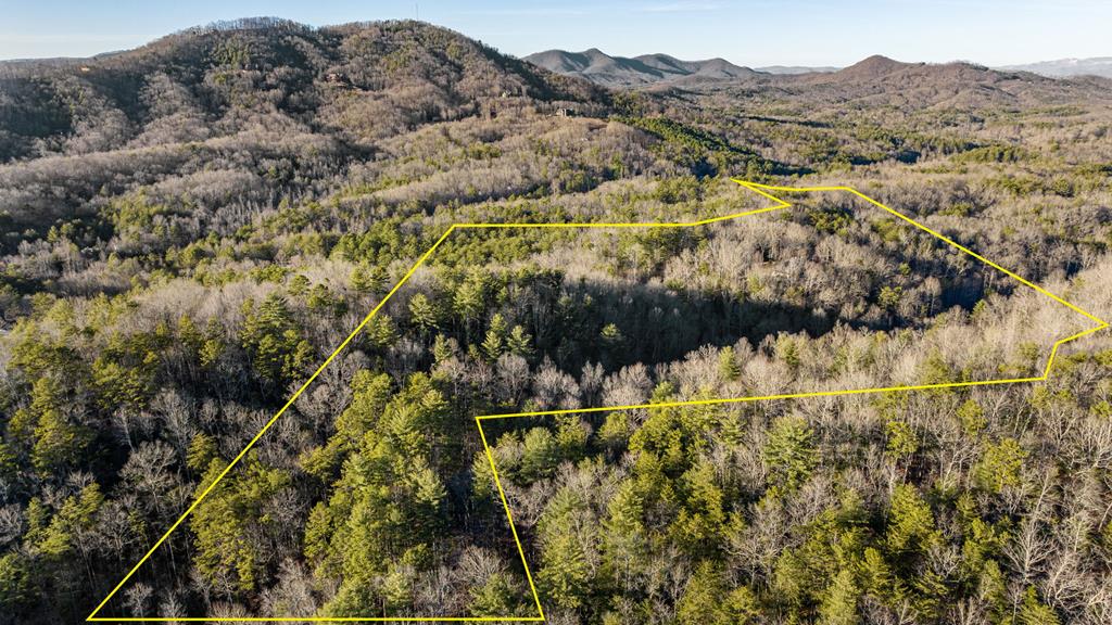 178 Arp Road Mineral Bluff, GA 30559 - Photo 75 of 75