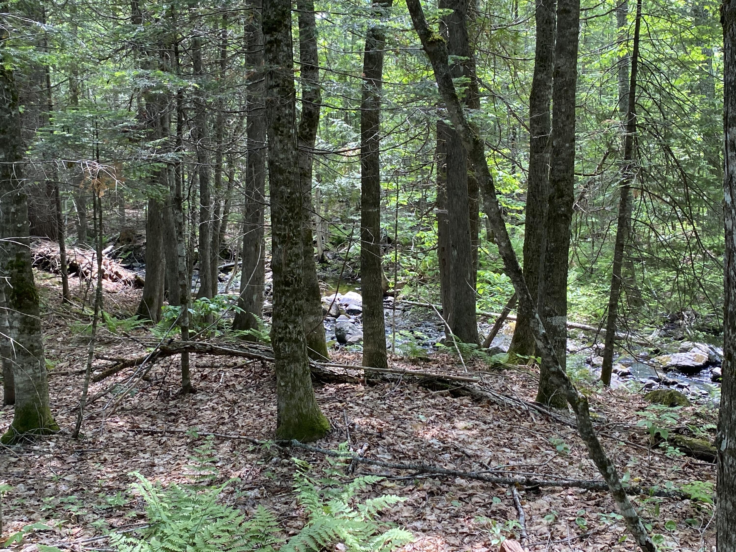 35 Leeman Road Abbot, ME 04406 - Photo 41 of 52 Brook
