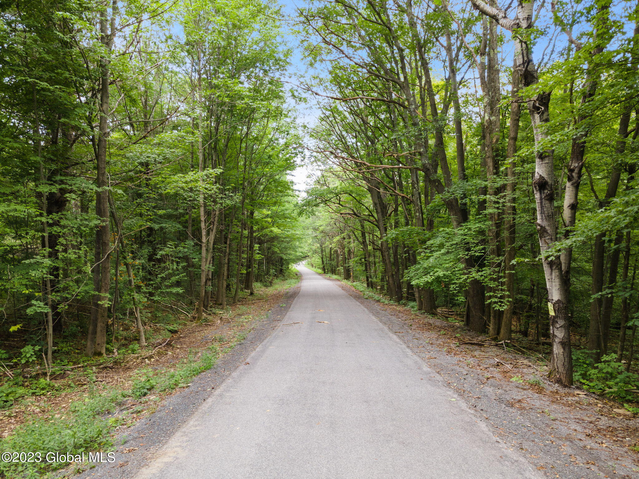 L2 Cornell Road Jefferson, NY 12093 - Photo 2 of 6 30-web-or-mls-466CornellRd_30
