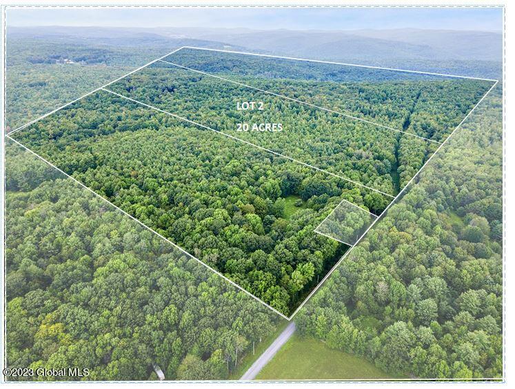 L2 Cornell Road Jefferson, NY 12093 - Photo 3 of 6 Lot 2 aerial pic