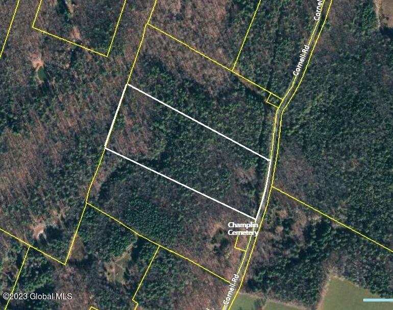 L2 Cornell Road Jefferson, NY 12093 - Photo 4 of 6 Lot 2, 20 acres