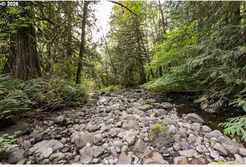 47100 Southeast Pheasant Meadow Road Sandy, OR 97055 - Photo 8 of 19 Gallery Image 8