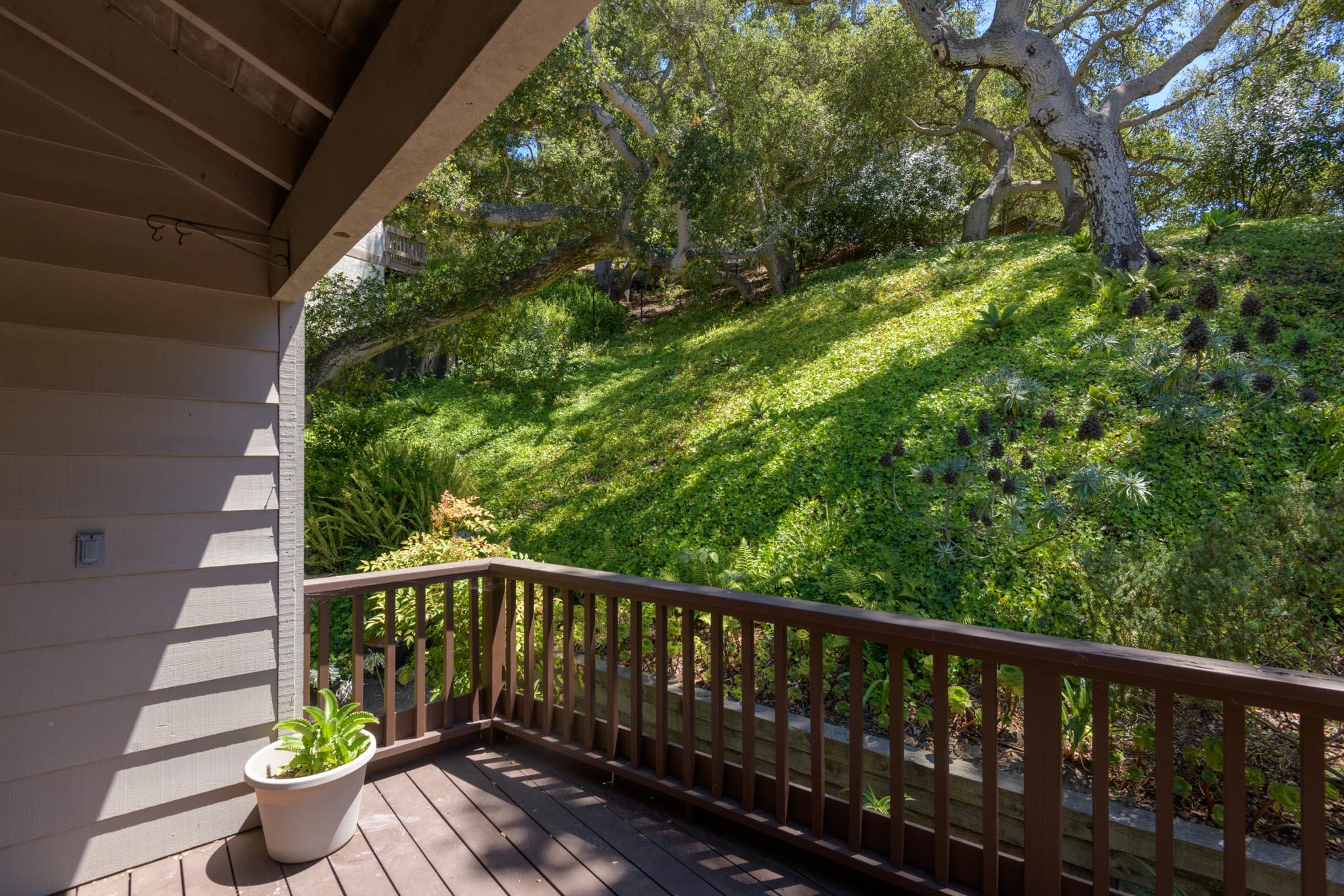 1545 Manitou Road Santa Barbara, CA 93105 - Photo 18 of 26 Backyard View