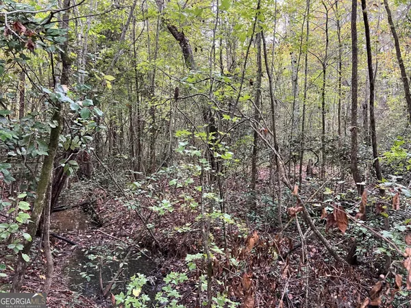 $15,000 | 146 Lite-N-Tie Road, Gray, GA 31032