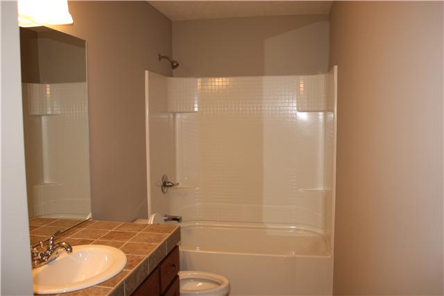 1331 Campbell Ridge Road Kingston Springs, TN 37082 - Photo 11 of 16 a bathroom with a granite countertop sink toilet and shower