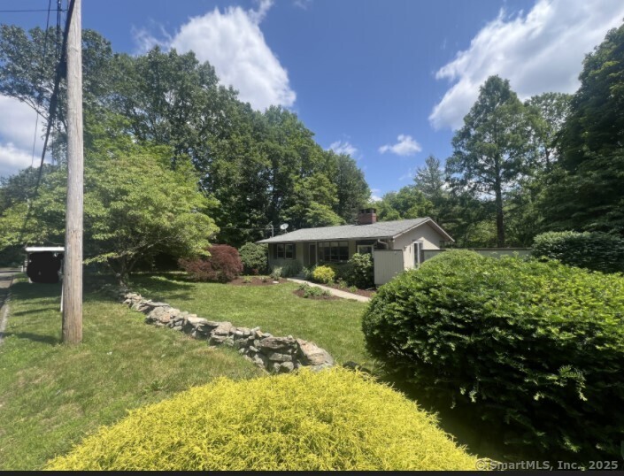 a view of a backyard with large trees