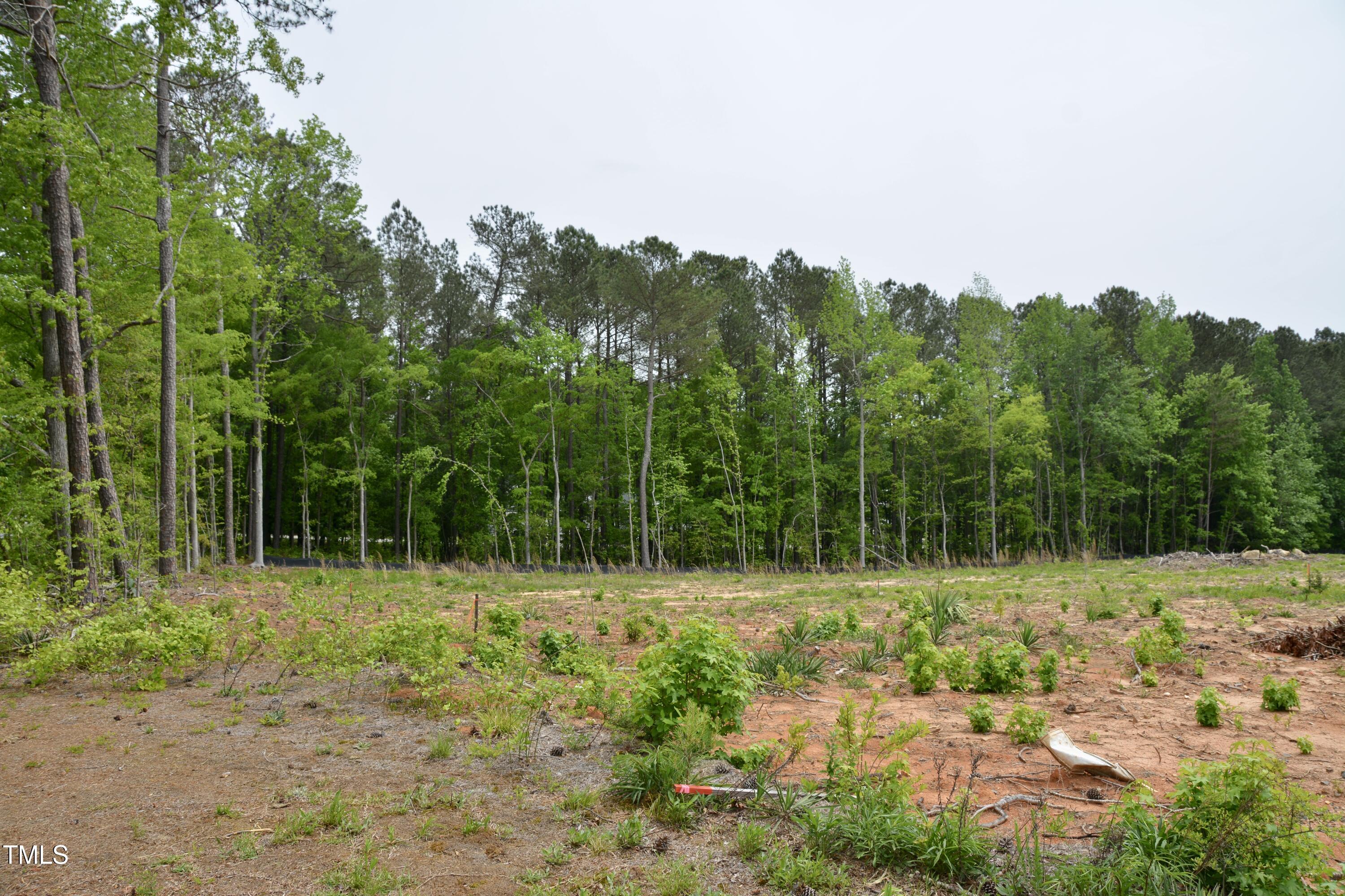 7901 Independent Court Garner, NC 27529 - Photo 6 of 14 a view of outdoor space with green field and trees