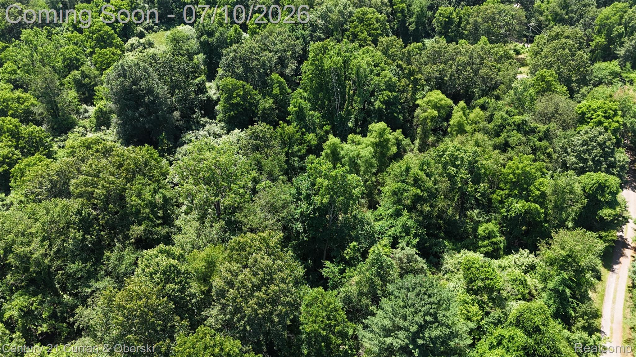 13505 Island Lake Road Chelsea, MI 48118 - Photo 9 of 23 DJI_20260703133450_0179_D.JPG
