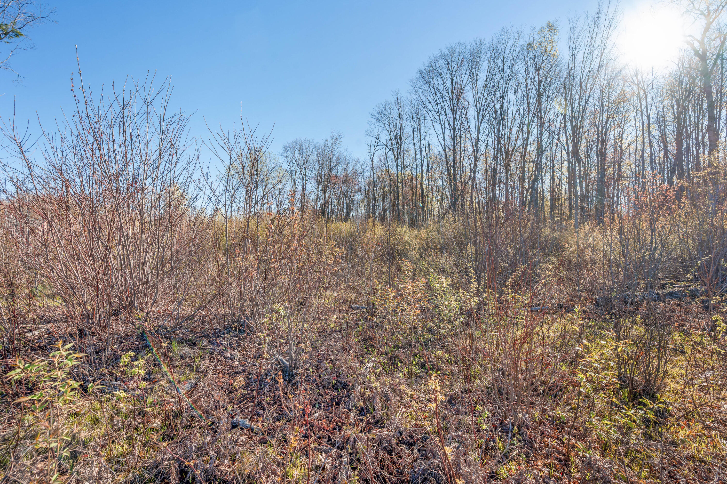 16107 12 Mile Road Leroy, MI 49655 - Photo 21 of 40 16107-12MileRd-Leroy-14