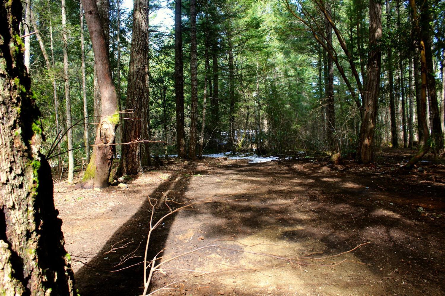 361 Pinewood Way Cave Junction, OR 97523 - Photo 5 of 9 Additional Photo