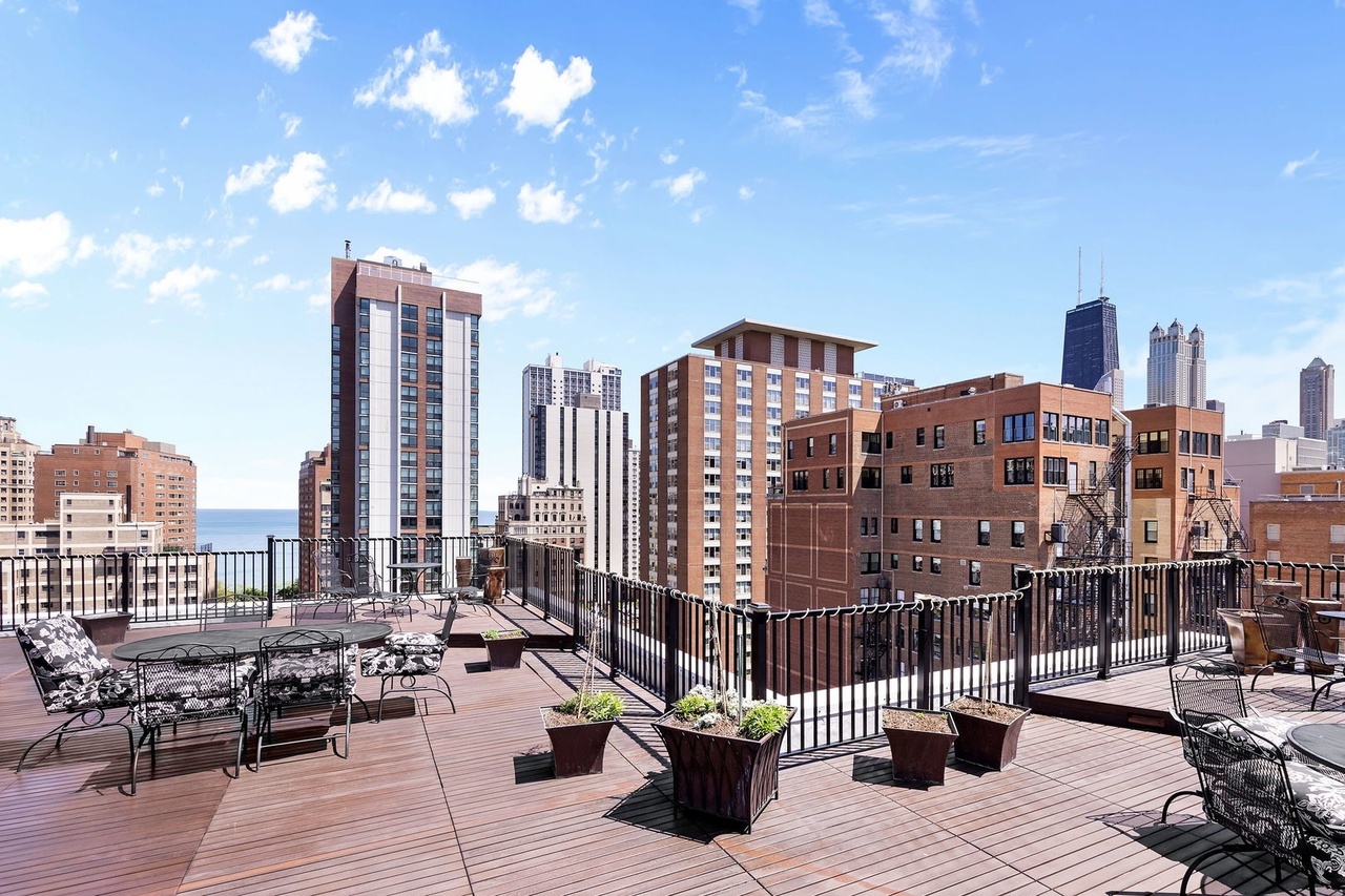 1339 North Dearborn Street, Unit 2B Chicago, IL 60610 - Photo 19 of 20 a city view with tall buildings