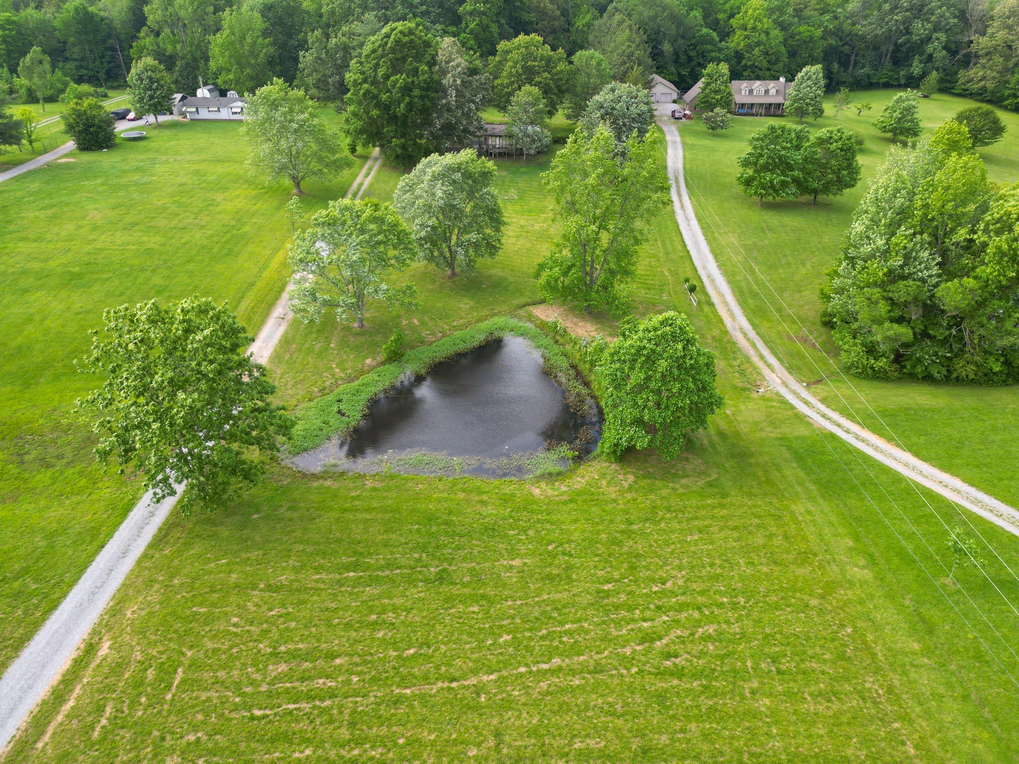 a view of a green yard