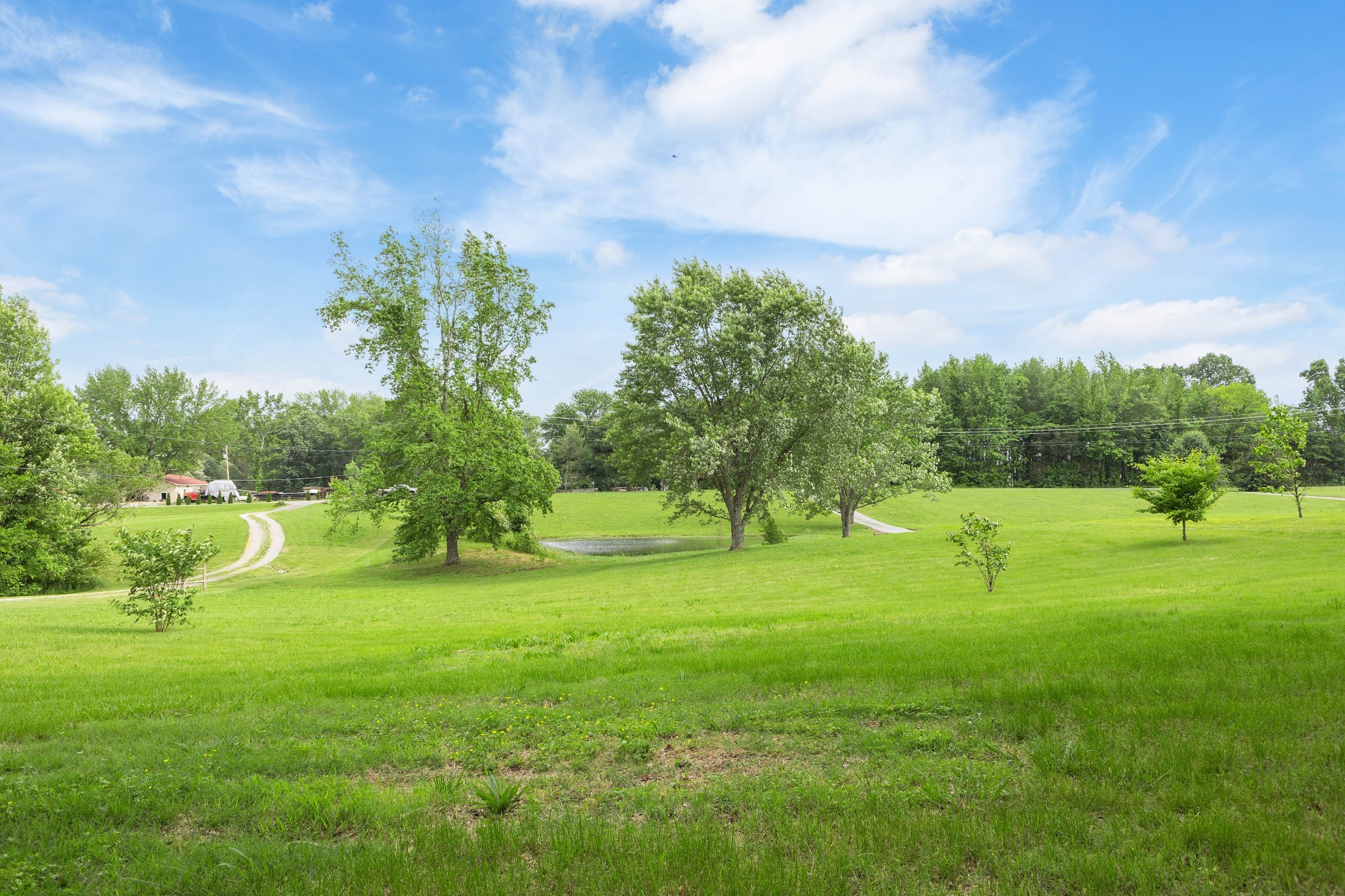 1776 Mosley Ferry Road Chapmansboro, TN 37035 - Photo 11 of 15 Gallery Image 11