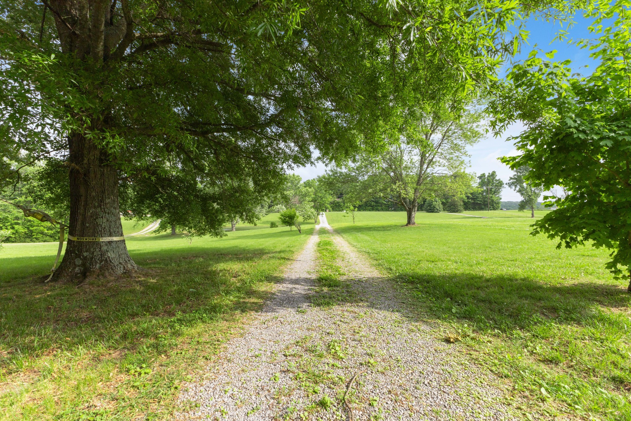 1776 Mosley Ferry Road Chapmansboro, TN 37035 - Photo 14 of 15 Gallery Image 14
