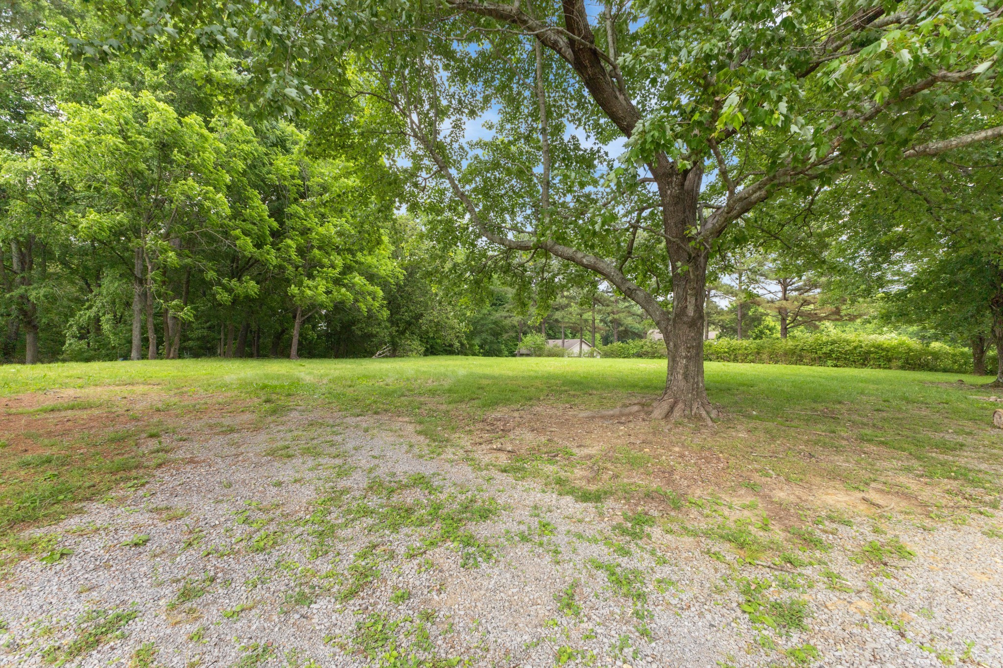1776 Mosley Ferry Road Chapmansboro, TN 37035 - Photo 15 of 15 Gallery Image 15