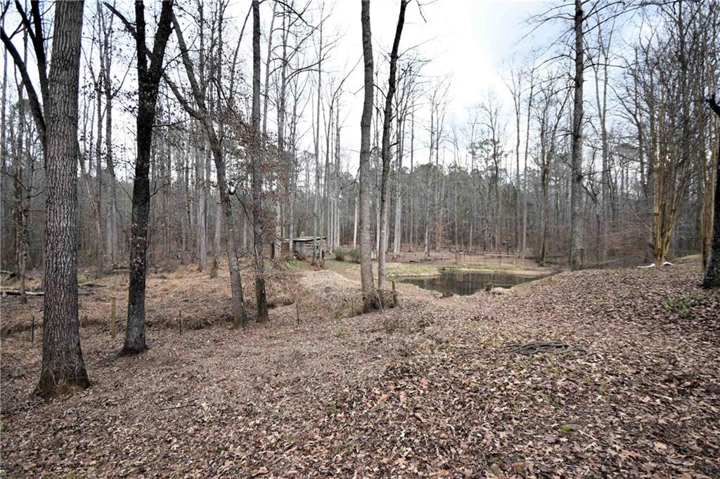 1968 Allgood Church Road Temple, GA 30179 - Photo 40 of 49