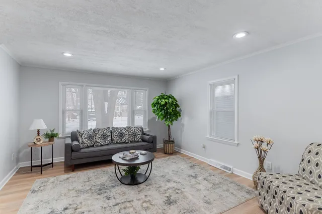 a living room with furniture and a potted plant