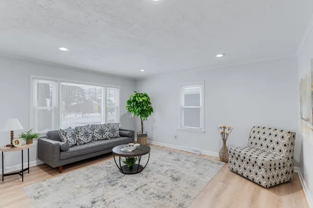 a living room with furniture and a potted plant