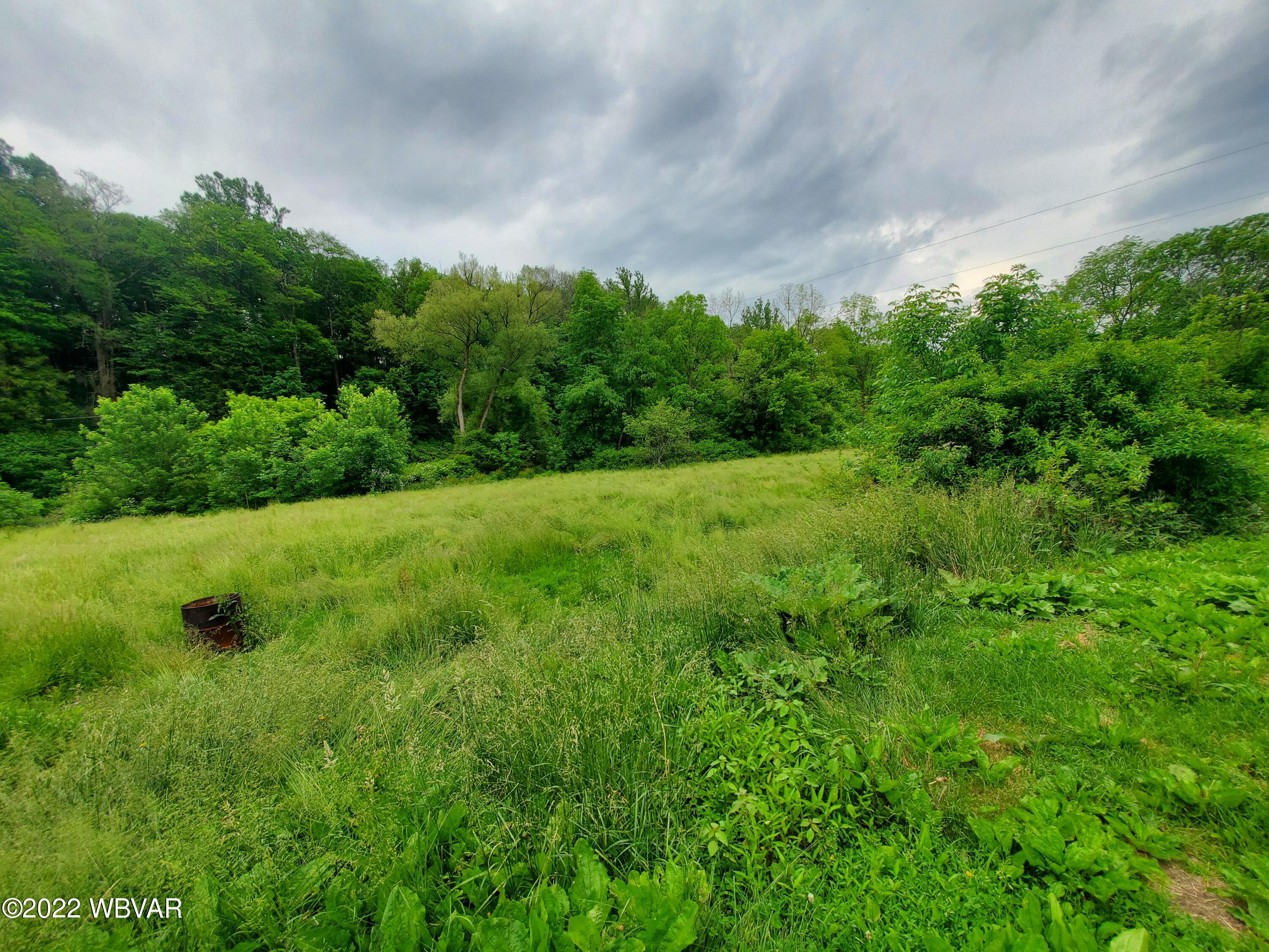 26 Island Road Mill Hall, PA 17751 - Photo 7 of 23 Gallery Image 7