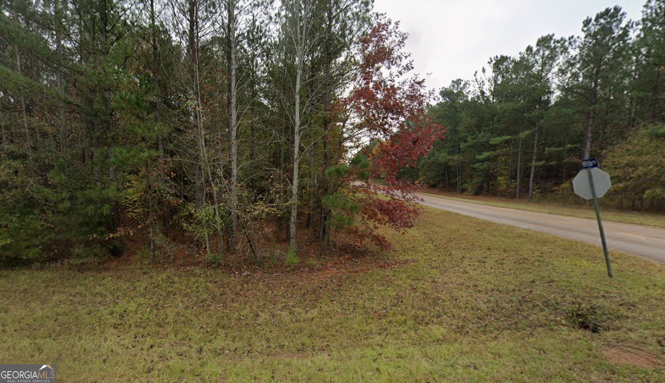 0 Salem Rd Tract 2 LaGrange, GA 30240 - Photo 4 of 7 a view of a back yard