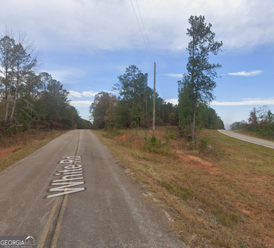 0 Salem Rd Tract 2 LaGrange, GA 30240 - Photo 5 of 7