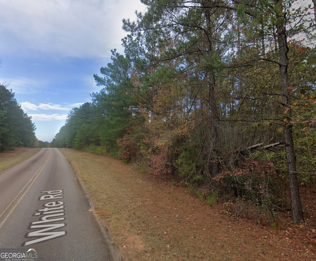 0 Salem Rd Tract 2 LaGrange, GA 30240 - Photo 7 of 7 a view of a yard with plants and trees