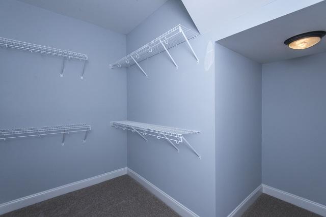 1337 Hamlin Road Mount Pleasant, SC 29466 - Photo 23 of 36 HC 4 master closet storage