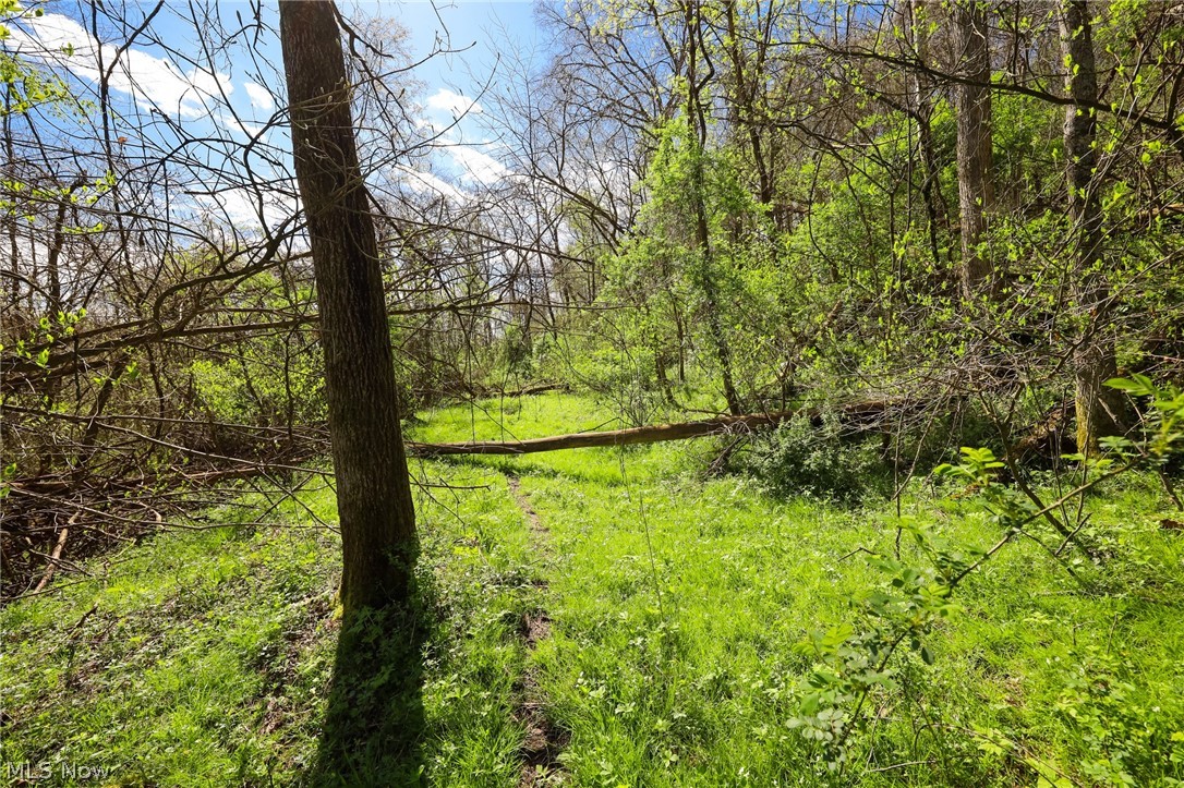 Jacks Run Road Quaker City, OH 43773 - Photo 29 of 50 Gallery Image 29