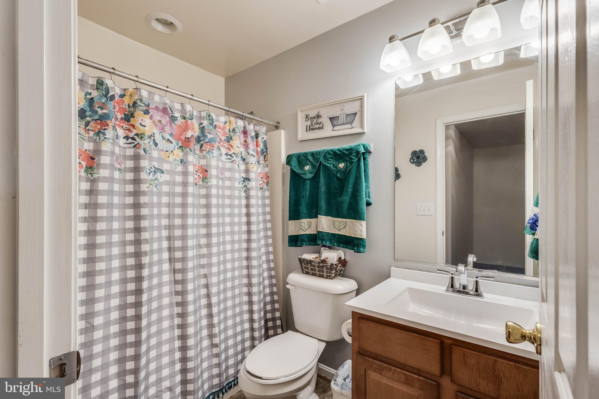 4757 Long Swamp Road Federalsburg, MD 21632 - Photo 19 of 47 a bathroom with a sink a toilet and shower curtain