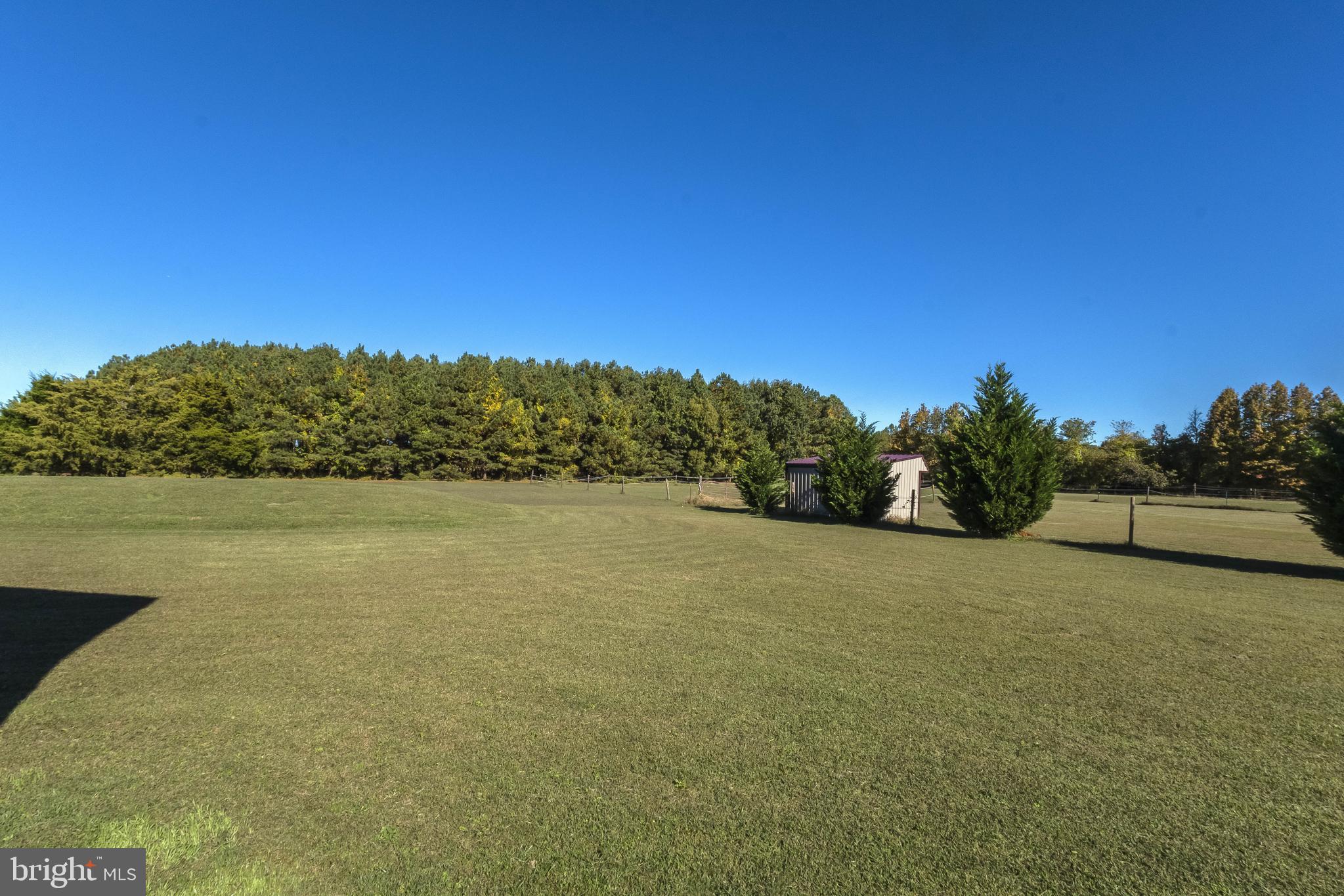 4757 Long Swamp Road Federalsburg, MD 21632 - Photo 44 of 47