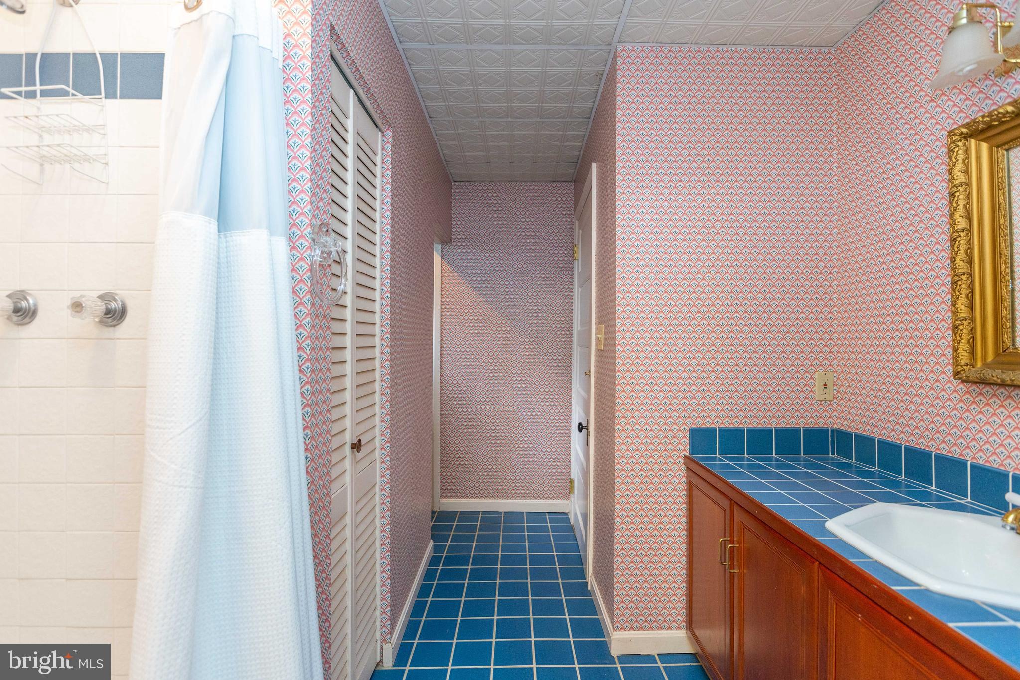 423 Hawthorn Road Baltimore, MD 21210 - Photo 44 of 56 Lower level bathroom with shower