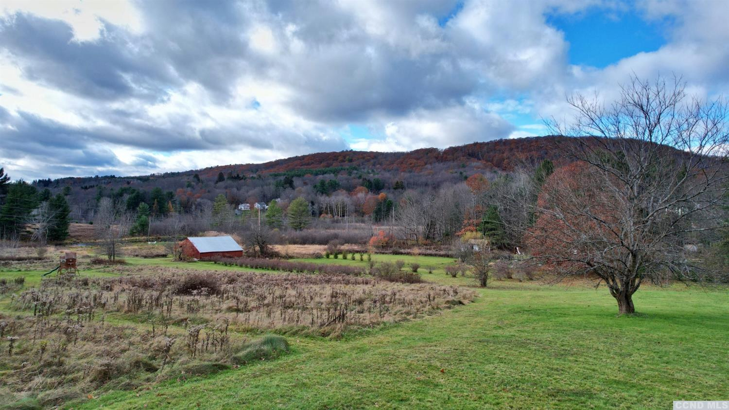 18 Old Queechy Road Canaan, NY 12029 - Photo 39 of 52 a view of a big yard with green space