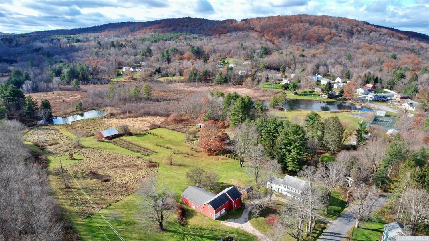 18 Old Queechy Road Canaan, NY 12029 - Photo 4 of 52 a view of swimming pool in middle of green field