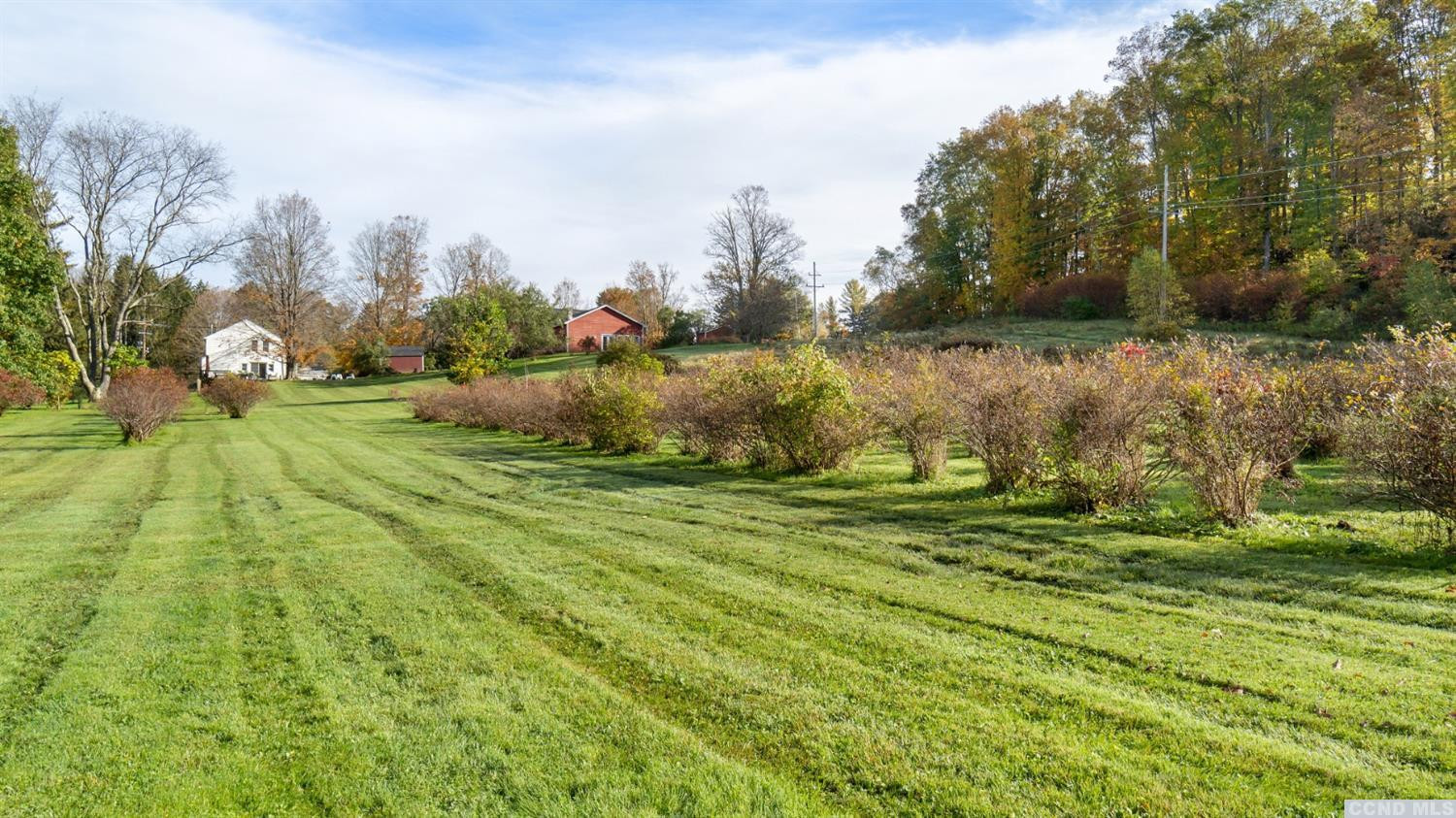 18 Old Queechy Road Canaan, NY 12029 - Photo 51 of 52 a view of a golf course with a lake
