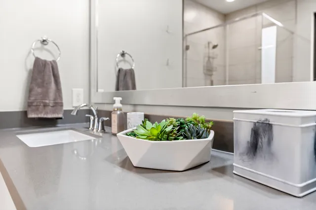 a room with a potted plant