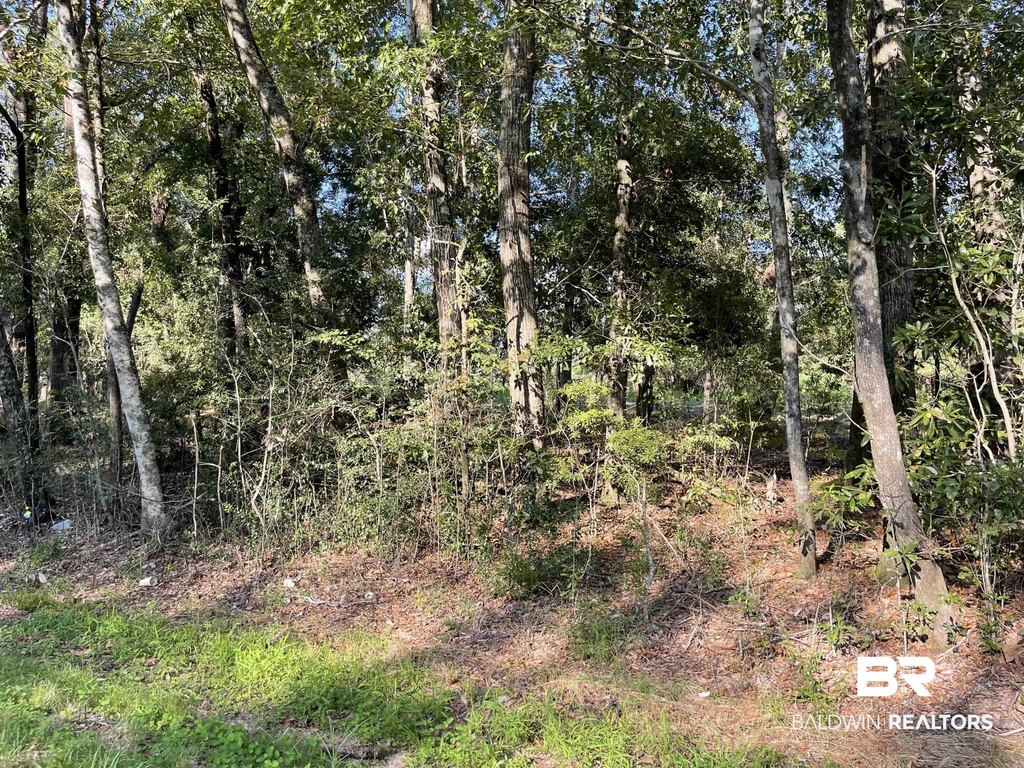 0 Rockhill Road Bay Minette, AL 36507 - Photo 21 of 32