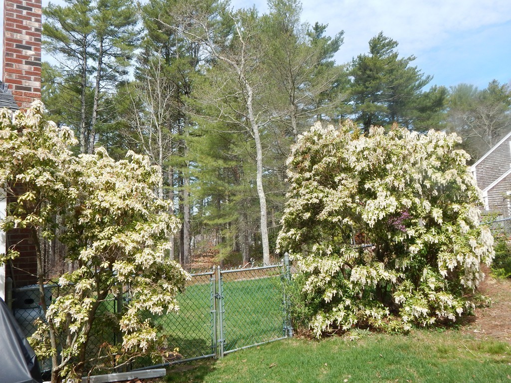 28 Oar And Line Road Plymouth, MA 02360 - Photo 27 of 30 Gallery Image 27