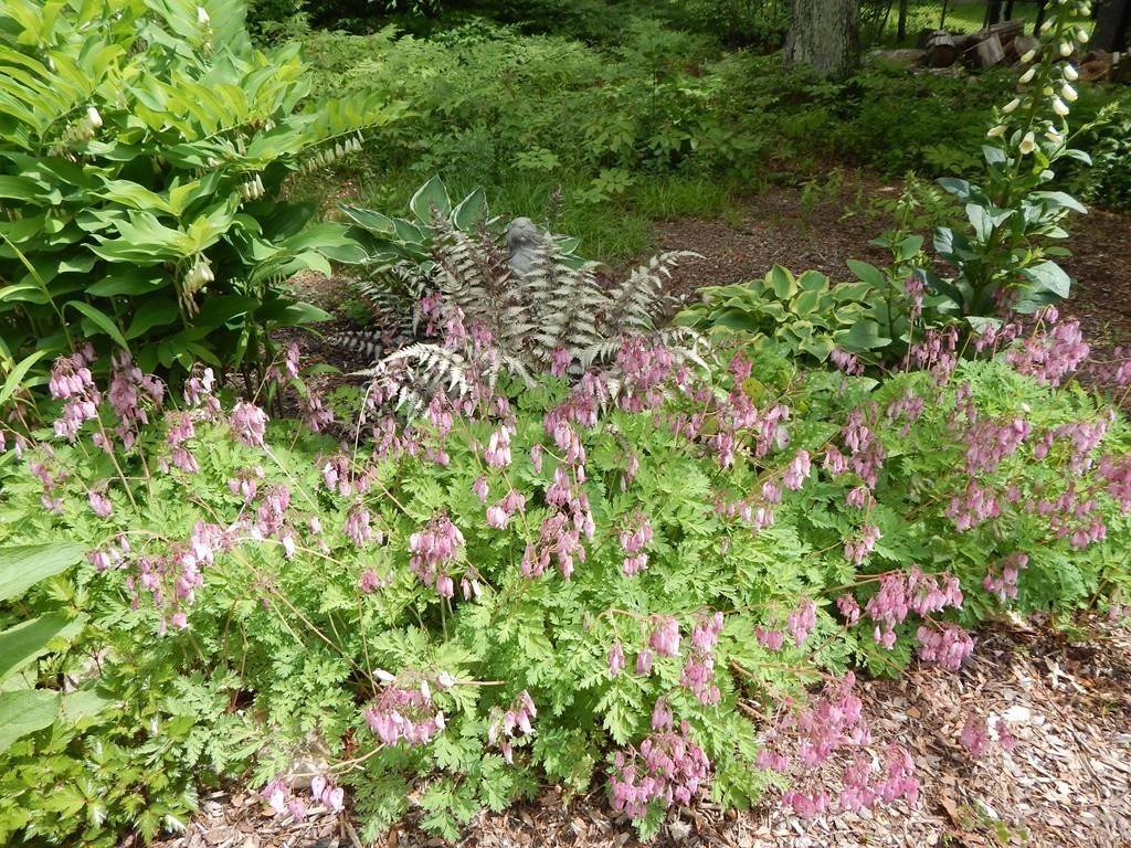 28 Oar And Line Road Plymouth, MA 02360 - Photo 29 of 30 Gallery Image 29