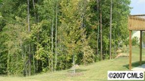 507 Quicksilver Trail, Unit 35 Fort Mill, SC 29708 - Photo 7 of 7