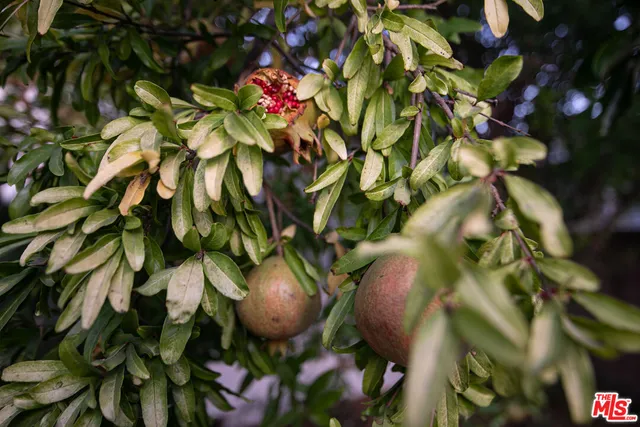 $1,295,000 | 1809 North Rose Street, Burbank, CA 91505