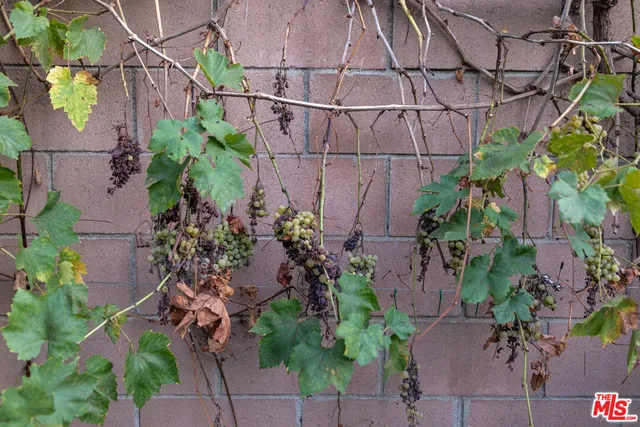 $1,295,000 | 1809 North Rose Street, Burbank, CA 91505